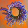 Wreath Of Lavender filter3