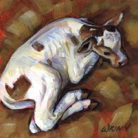 Calf_white_6x6_acry_150.jpg