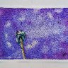 Dandelion - Destination Unknown