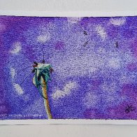 20260511_Dandelion_JS.jpg