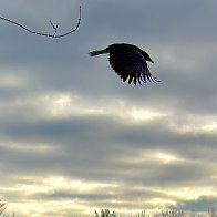 IMG_0264.JPG