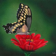 Swallowtail.jpeg