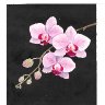 Orchids