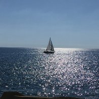 IMG_3437.jpeg