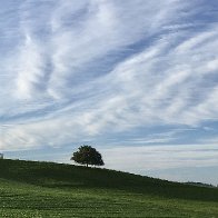 IMG_6561.jpeg