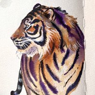 IMG_6254.jpeg