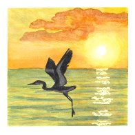 Bird on lake at sunset.jpg