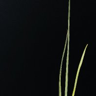lonely-baby-palm-tree-1061X2122.jpg