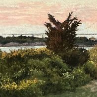 IMG_9619.jpeg