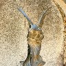 Life On Earth Can Be Extremely Harsh For An Angel (Osor Cemetery, Croatia) filter1