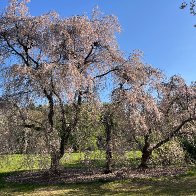 IMG_8738.jpg