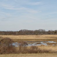 _DSC0307.jpeg