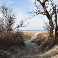 _DSC0332.jpeg
