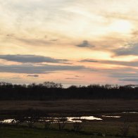 _DSC0367.jpeg