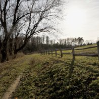 _DSC0343.jpeg