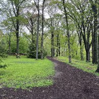 IMG_8761.jpg