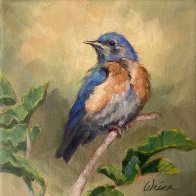 PMP_Bluebird_8x8_acrylic_canvas.jpg