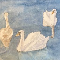 Swan Dance.jpeg