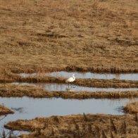 _DSC0349.jpeg