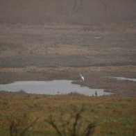 _DSC0542.jpeg