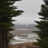 _DSC0627.jpeg