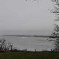 _DSC0721.jpeg