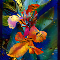 IMG_4397.png