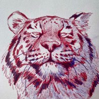 IMG_6301.jpeg