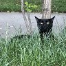 IMG_4114
