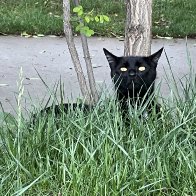 IMG_4114.jpeg