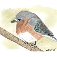 ACEO Lil bird1.jpg