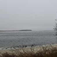 _DSC0775.jpeg