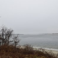 _DSC0777.jpeg
