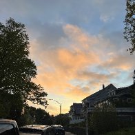 IMG_8780.JPG