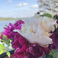 IMG_1261.jpeg