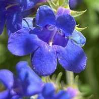 IMG_8358.jpeg