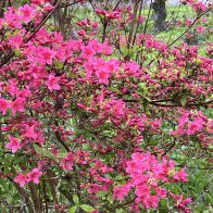 IMG_8752.JPG