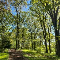 IMG_8785(3).jpg