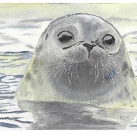 seal.jpg