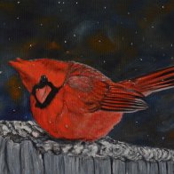 snowCardinal2.JPG