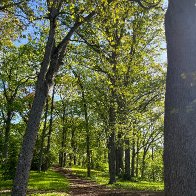 IMG_8815.jpg