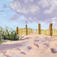 Fence on Beach.jpg