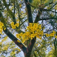 IMG_5240.jpeg