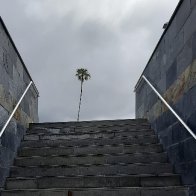 _La_Palma_auf_La_Palma.jpg