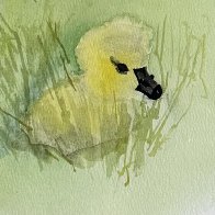 IMG_7109.jpeg