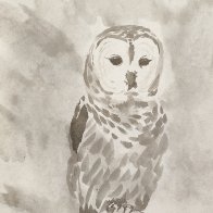 owl may 2026 pmp challenge.jpg