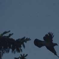 IMG_8761(1).jpg