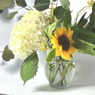 IMG_3995.jpeg