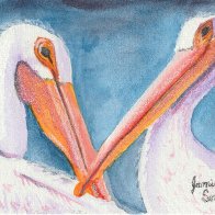 Pelicans.jpg