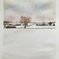 IMG_6250.jpeg